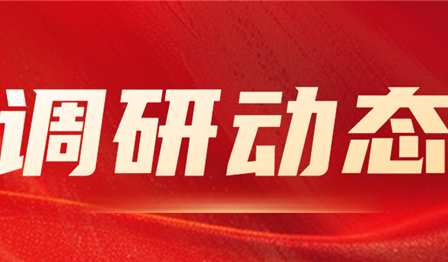 集团公司纪委委员、总管帐师袁媛赴必赢亚洲公司发展资产治理专项调研